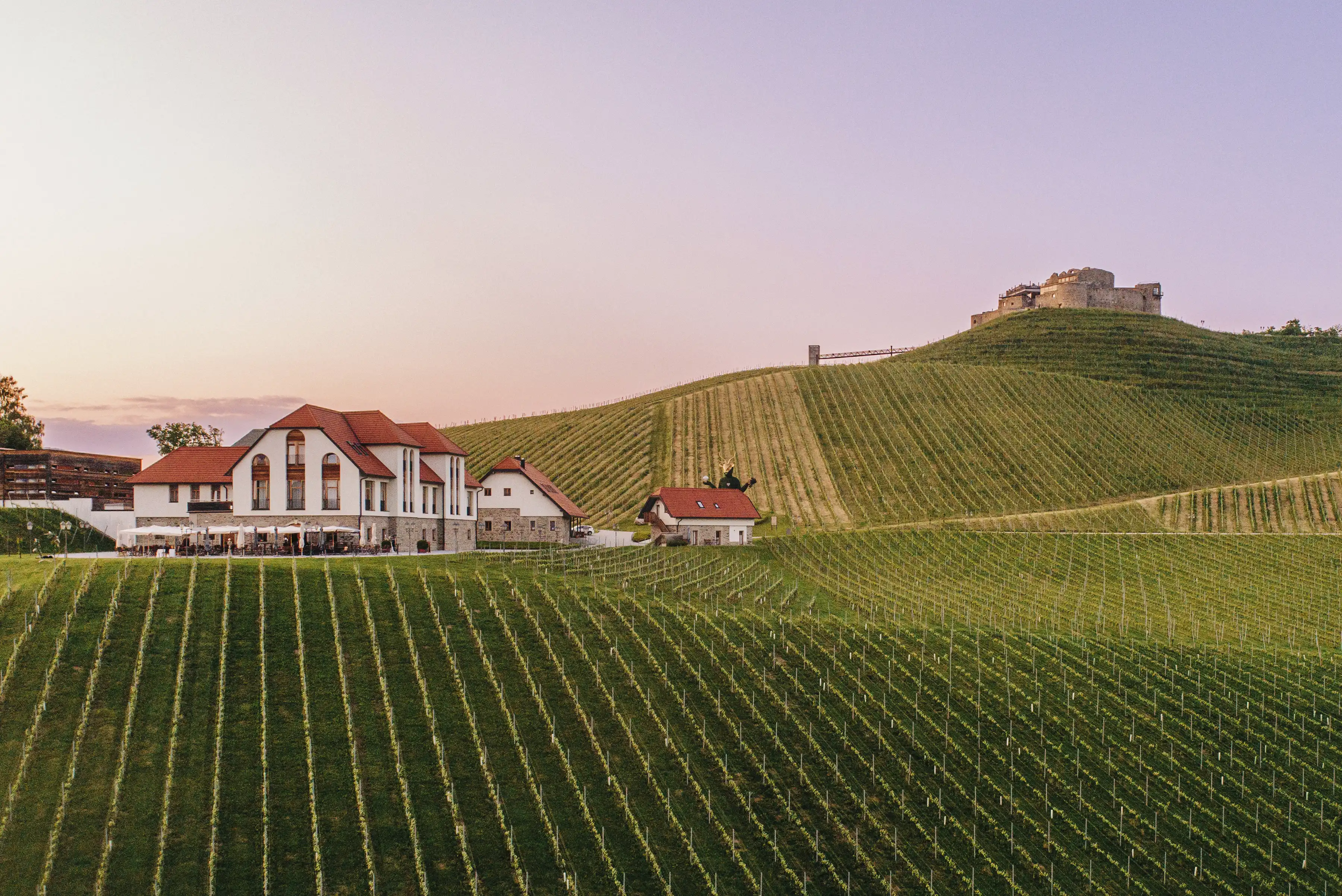 Drohnenaufnahme eines Weingutes mit einer Burg im Hintergrund